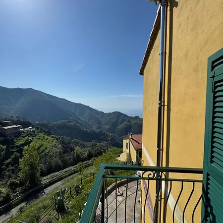 بيت ضيافة Pz 3*