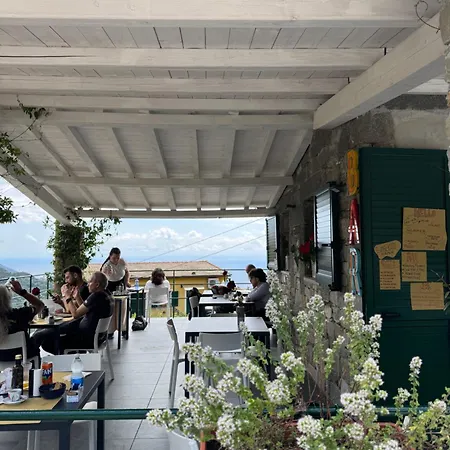 Pz